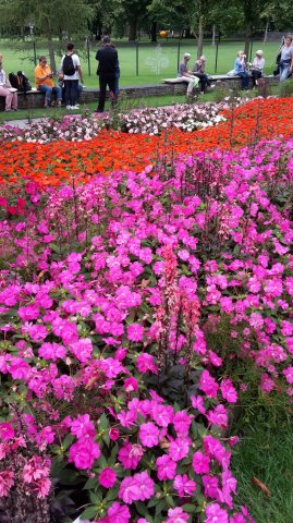 Landesgartenschau 2017